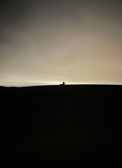 Clarico-Image-Text