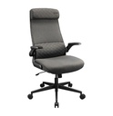 Silla Gaming Cougar Stryder Gris